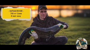 Зарыбление 700 кг сома в Вип зону