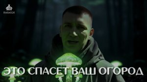 ХОЧЕШЬ УРОЖАЯ? ПОСМОТРИ НА ЛЕС