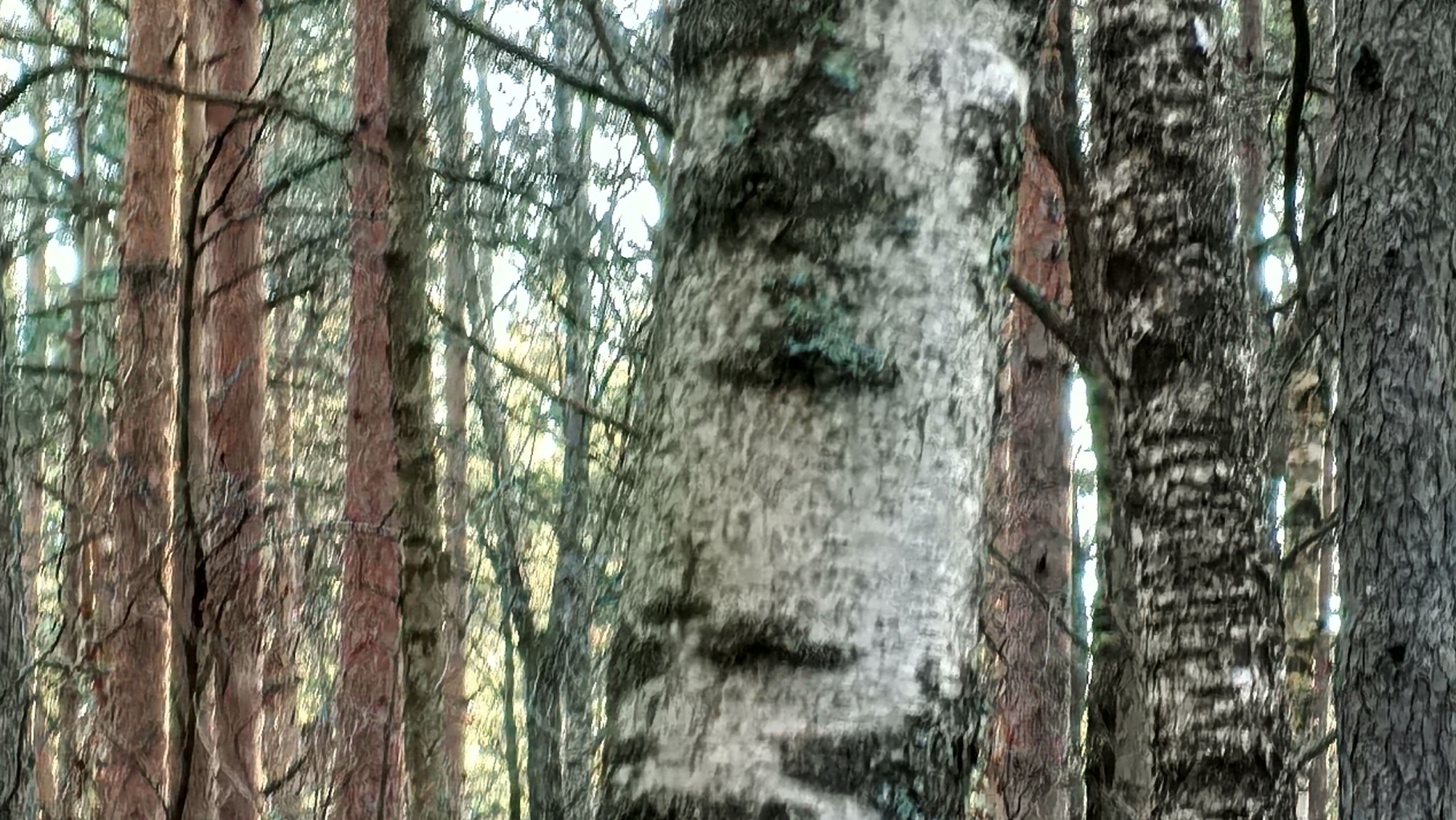 # БЭКУМС # Серия 3 "Нападение".