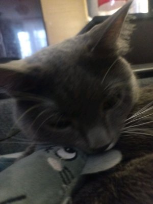 хз чё писать