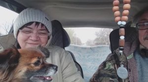 ПОЕХАЛИ к СОСЕДЯМ, ПОДСТРЫГЛИСЬ, сделали педикюр