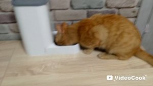 Вложек.Часть 1.