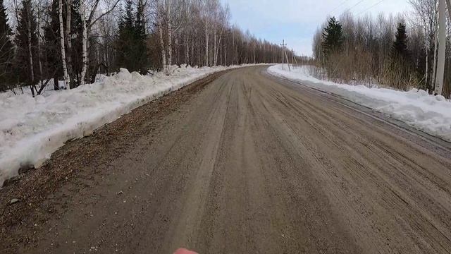 День 618. Вместо снега - утка. Дистанция 12 километров.