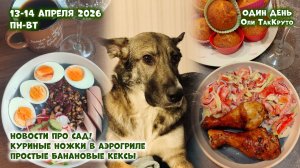Очень простой рецепт кексов, новости про наш сад. 13-14 апреля 2026. Дни с Олей ТакКруто