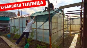 РЕМОНТ ТЕПЛИЦЫ В ДЕРЕВНЕ! ПОДГОТОВИЛИ ОГОРОД К ДАЧНОМУ СЕЗОНУ🏡 у нас ГОСТИ! НАШИ ВЫХОДНЫЕ в станице