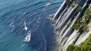 Устала я от лицемерия людского