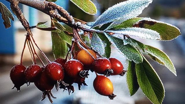 Блогодавилка - качающияся голова, маятник