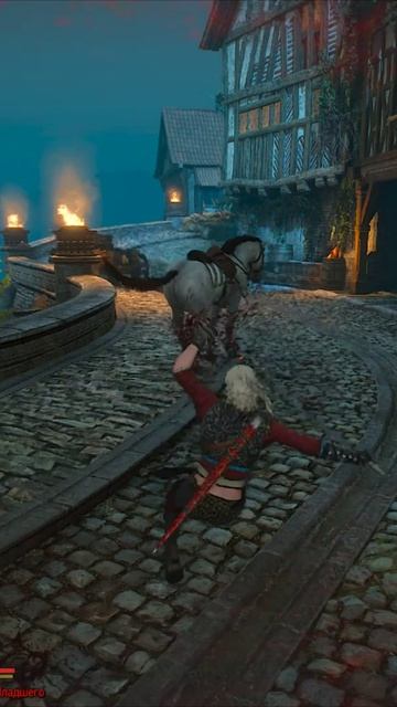 Когда лошадь против. Цири в полёте. Замедленная съёмка + реверс. The Witcher 3 - Wild Hunt