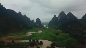 Люди это и есть Паразиты на Пандоре.