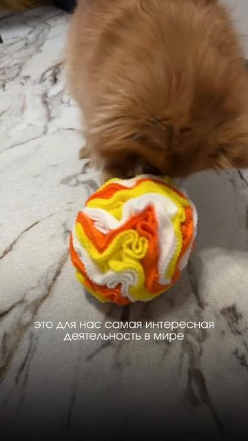 Это настоящий Dyson среди игрушек 🔥