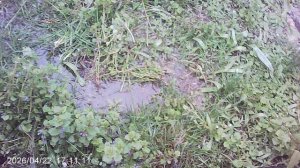 Обнаружил проблему: за зиму труба лопнула!