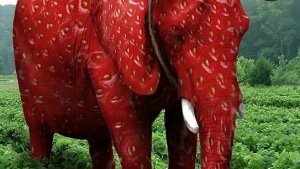 заходите не выходите