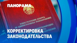 От кибербезопасности до чайлдфри: главные изменения в Кодексе об административных правонарушениях