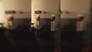 It was the night before Christmas! 🎅  LIGHTS ARE OFF
