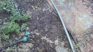 Проверка "синей" ветки поливной системы