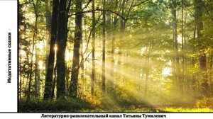 Медитация для сна с Барсиком