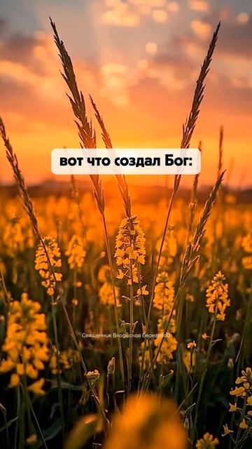 Как Ты услажда́ешь ду́мающих о Тебе́, как животво́рно живо́е Сло́во Твое́, мя́гче еле́я