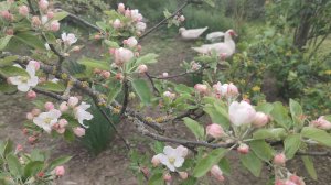 Разгребаем очередной бардак. Никого не хотела обидеть. Жизнь на пенсии.