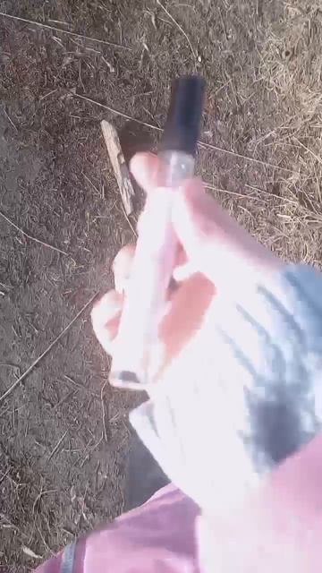 Эстетика -это природа