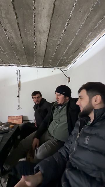 Смотрят мои видео