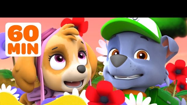 Щенячий патруль самые важные миссии Маршала