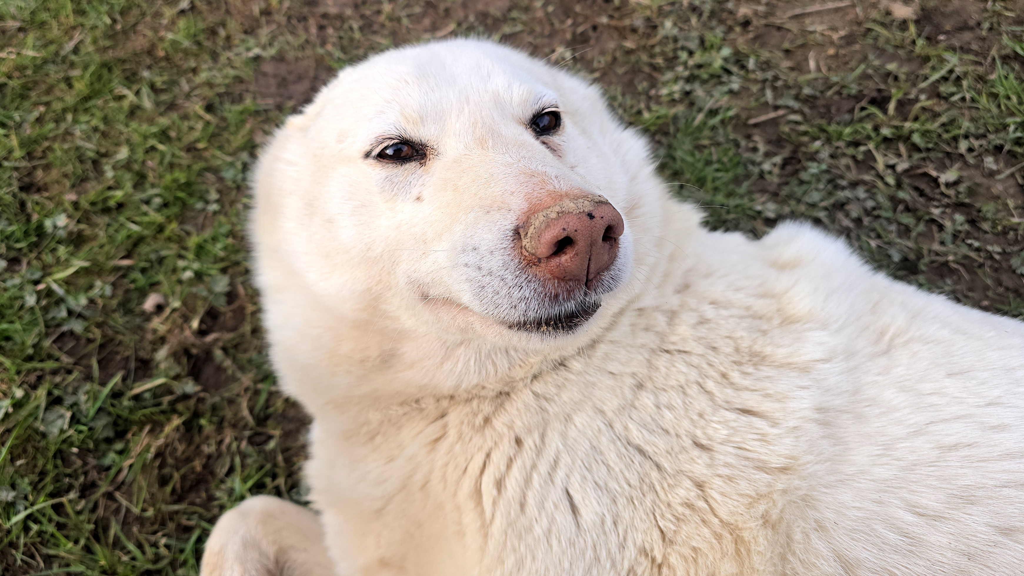 С пустыми руками никак