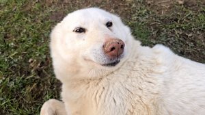 С пустыми руками никак