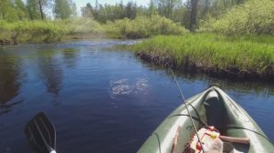 ДИКАЯ РЫБАЛКА НА СПИННИНГ С ЛОДКИ. СПЛАВ ПО ЛЕСНОЙ РЕКЕ