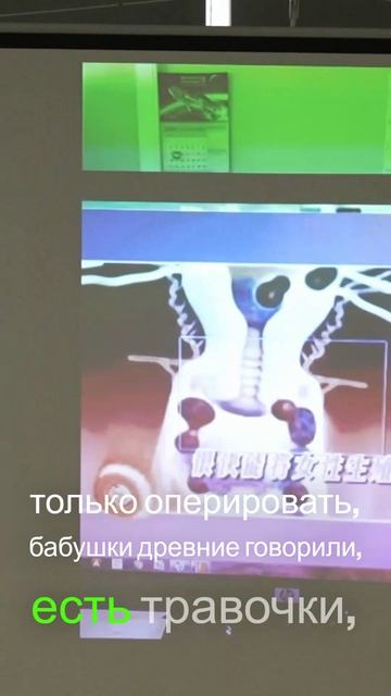 Травы против миомы - Традиционный подход к женскому здоровью