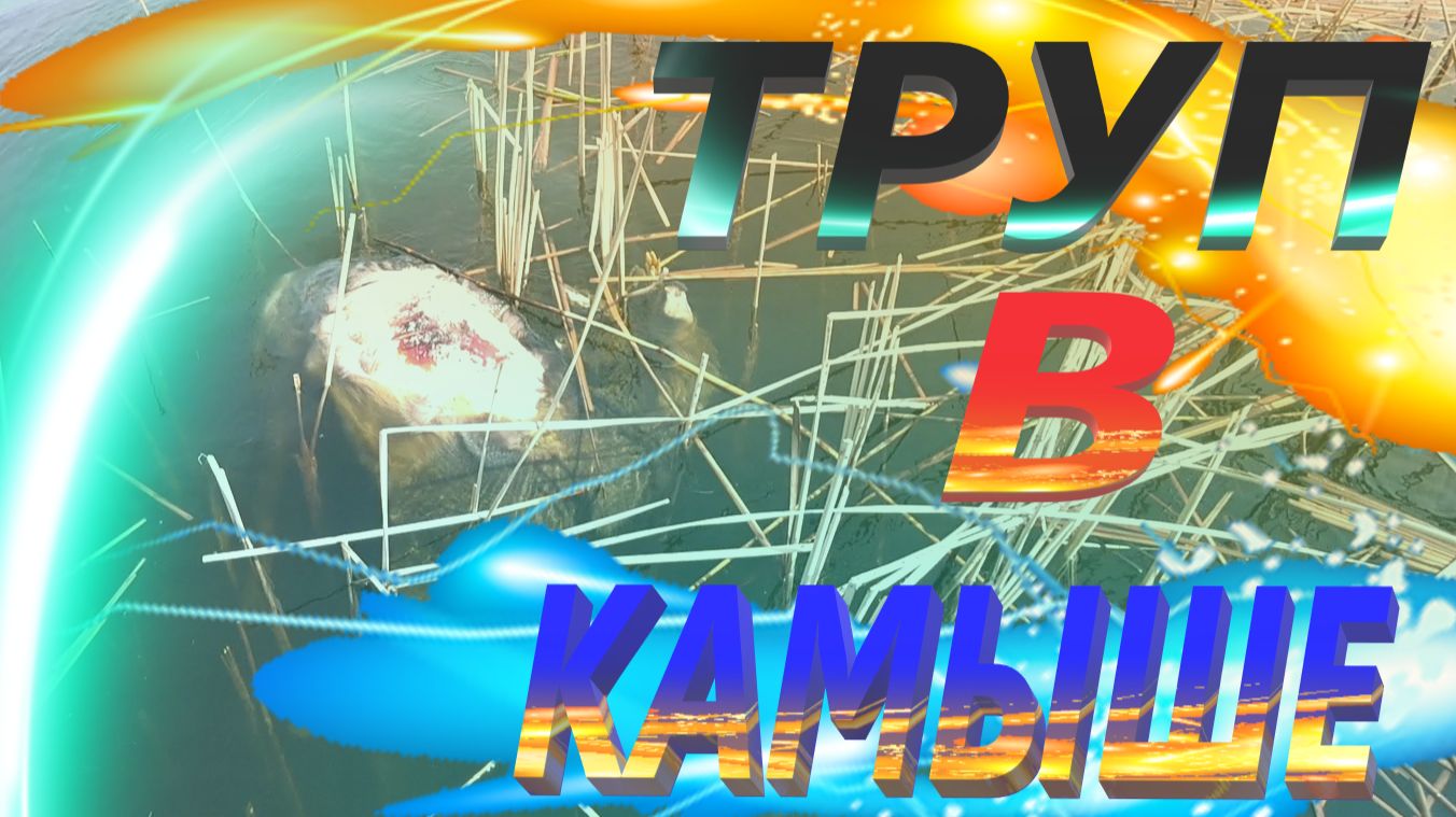 ПОДВОДНАЯ ОХОТА НА САЗАНА ВЕСНА 2026 часть - 2