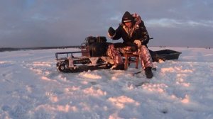 НА ЧАС  ПОЕХАЛ И СТОЛЬКО НАЛОВИЛ!КОРЮШКА ВСЯКИХ РАЗМЕРОВ!