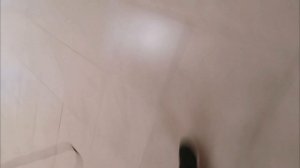 Школа с данёчком