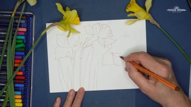 Фрагменты вебинара 