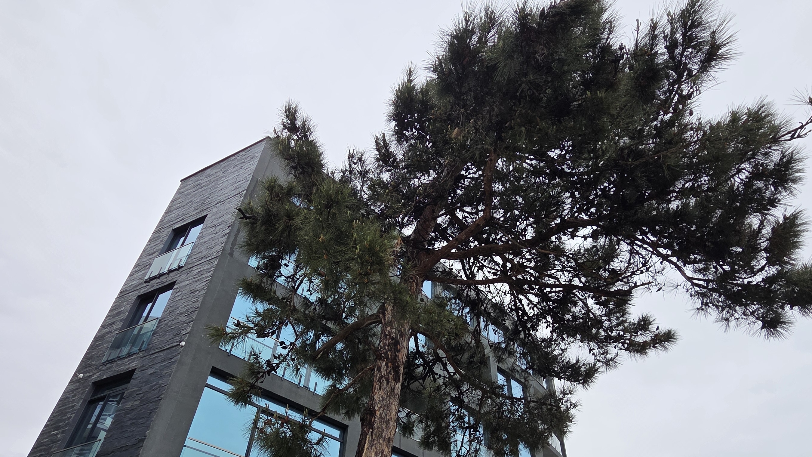 Уникальный комплекс в Сочи . Аналогов нет. Интересно? Пишите