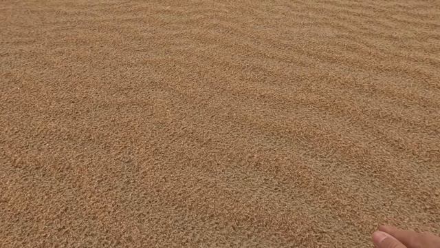 22.04.Витязево.Песчаные пляжи.