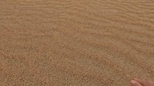 22.04.Витязево.Песчаные пляжи.