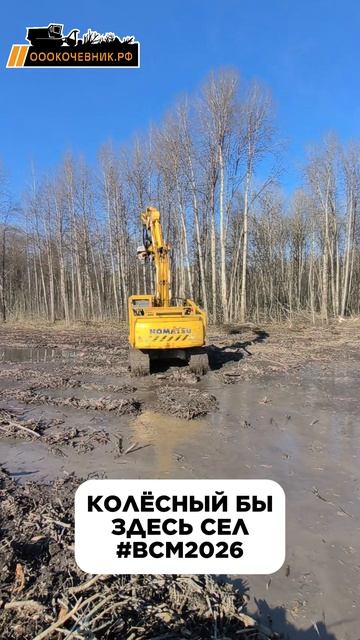 А вы как думаете?