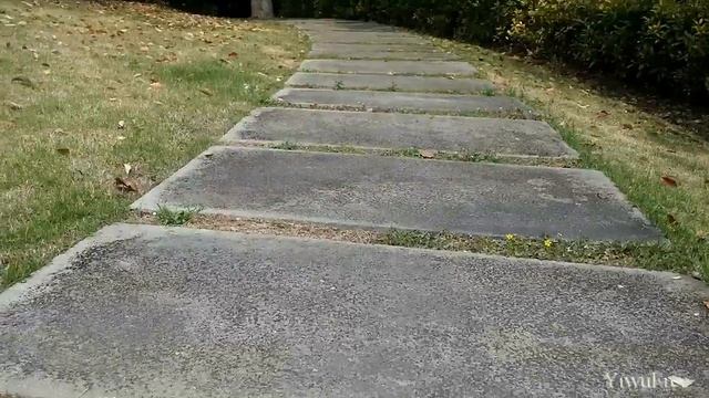 Как правильно ходить на рынок!  Yiwu city China. Город Иу Китай: futian market