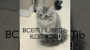 ᕼᎽ ᙐᗪᖘᗣᙅᙢᙓ ᑎᖘᑌᙓⵋᗣᙁᑌ!