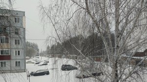 21-04-2026❄️Влог ❄️вторник ❄️зима не хочет уходить ❄️❄️