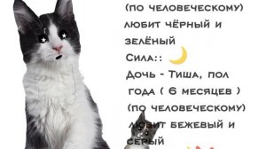 Я НЕ МЕНЯЮ ФД ЧИТ ОПИС