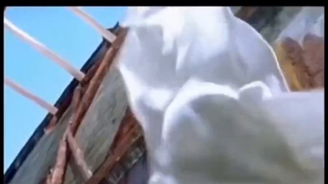 Женщина: Мне нечего носить.. 🤣