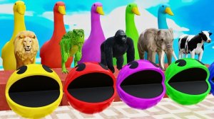 Гигантские утки и забавные 3d животные- Нарисуйте животных, пересекающих фонтаны- Анимация 3d игры