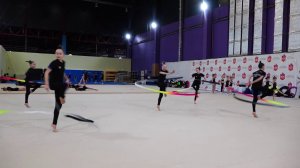 КРАСНОЯРЦЫ ЗАВОЕВАЛИ МЕДАЛИ ПО ХУДОЖЕСТВЕННОЙ ГИМНАСТИКЕ