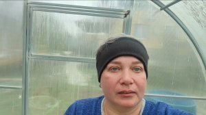 Высадила базилик, пекинскую капусту. Начала высаживать томаты.