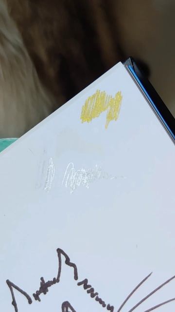 Топ 3 ручек для художника 🤗