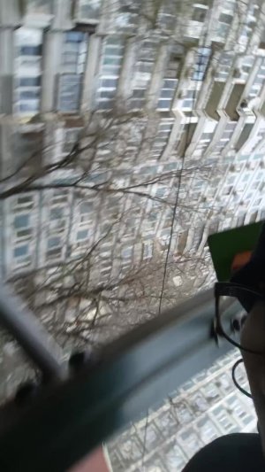 ребёнок который хочет косичку сыр