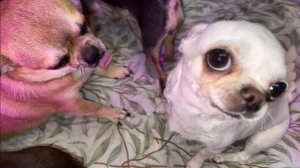 Всем самого доброго утречка и прекрасной субботы!