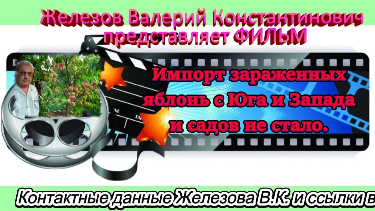 Импорт зараженных яблонь с Юга и Запада и садов не стало.