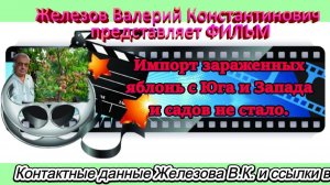 Импорт зараженных яблонь с Юга и Запада и садов не стало.